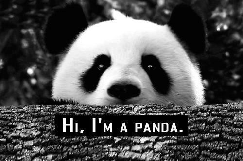 pandaa :D