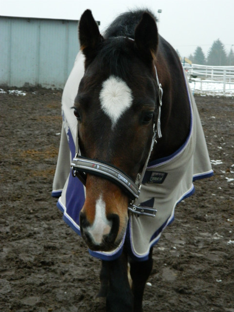 Odyseusz