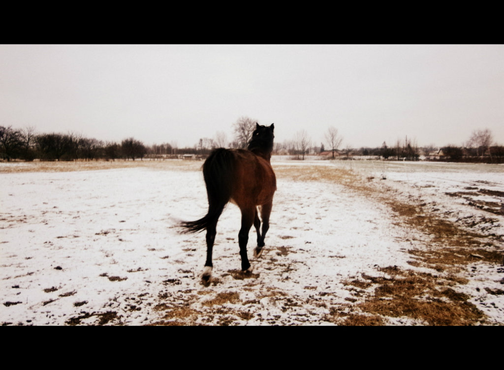 Zaborw . :-)