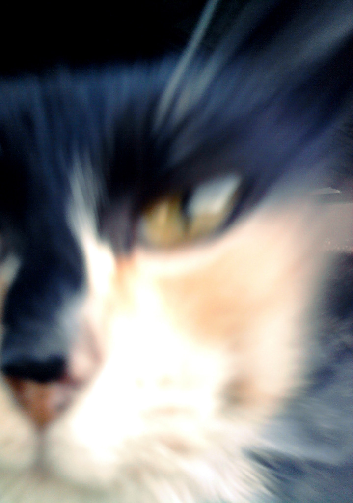 Alfons