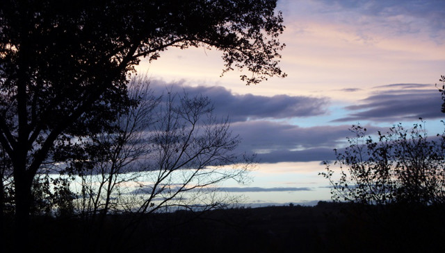one of the non-black-and-white