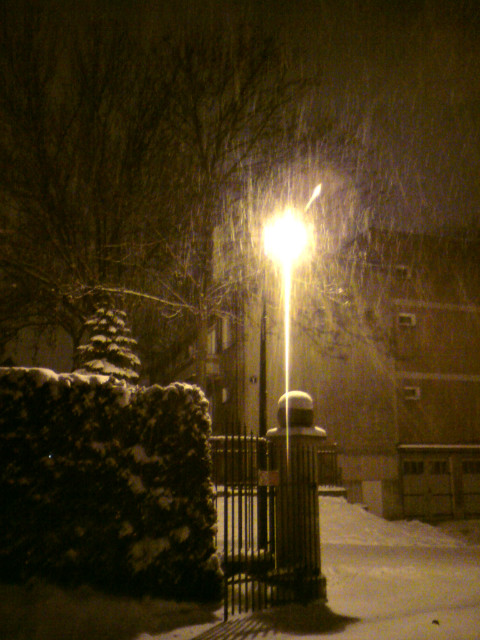winter