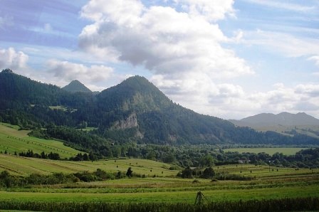 ochrona rodowiska