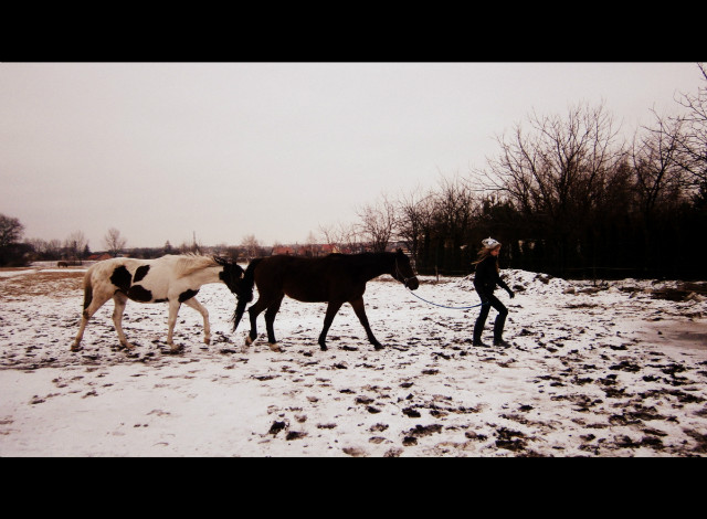 20.02.2013r.