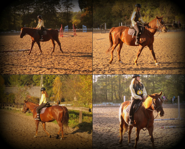 konik. :D
