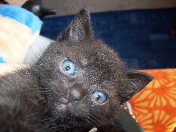 MOJA *.*