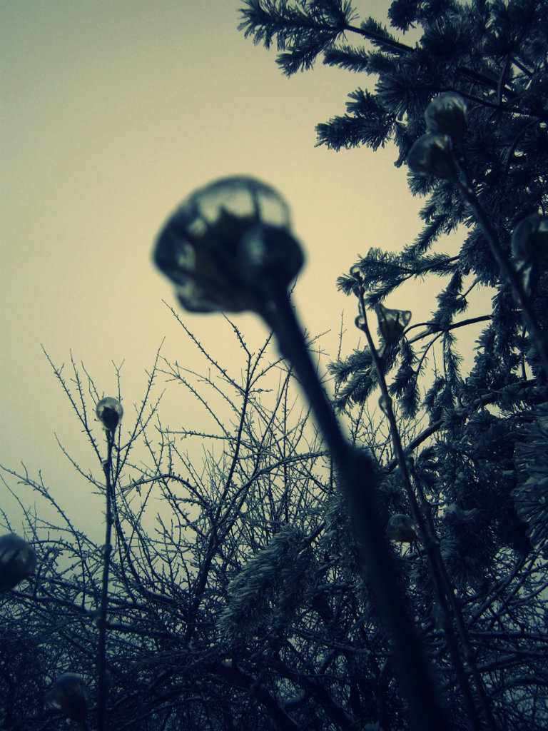 winter.