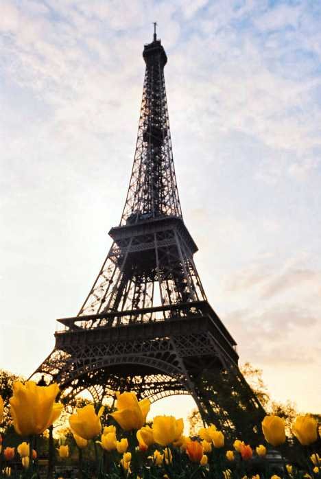 Francjaaaaaa!!!!