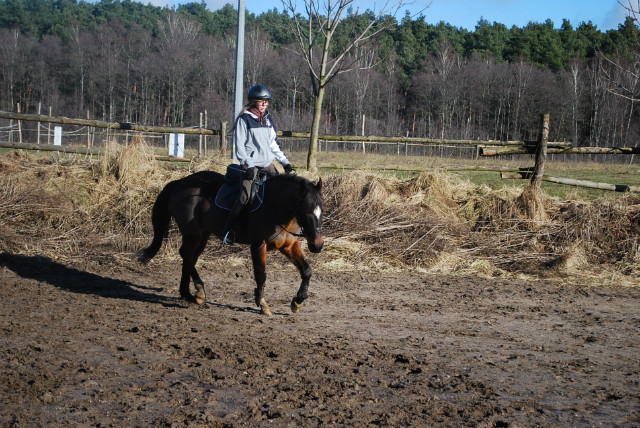 poniacz
