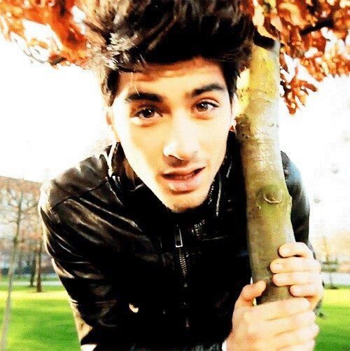 Zayn.