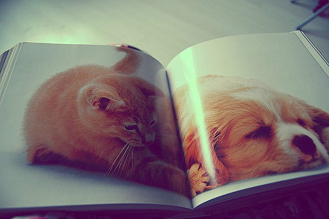 Cats, no kids.