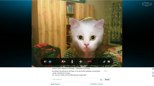 hello, mister Myga