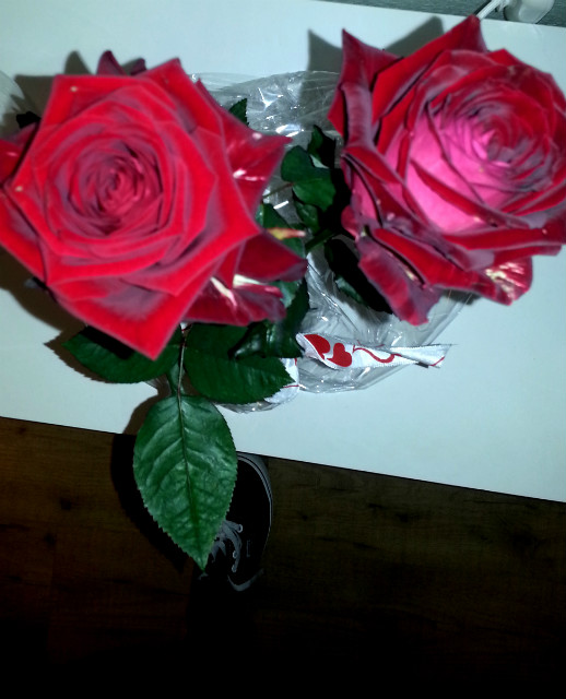 VALENTINESDAY