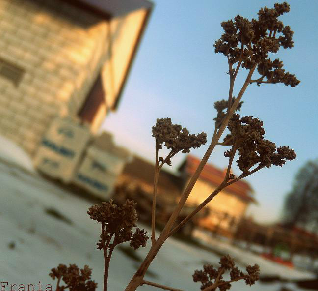 Kocham Ci.