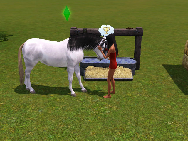 Simsy
