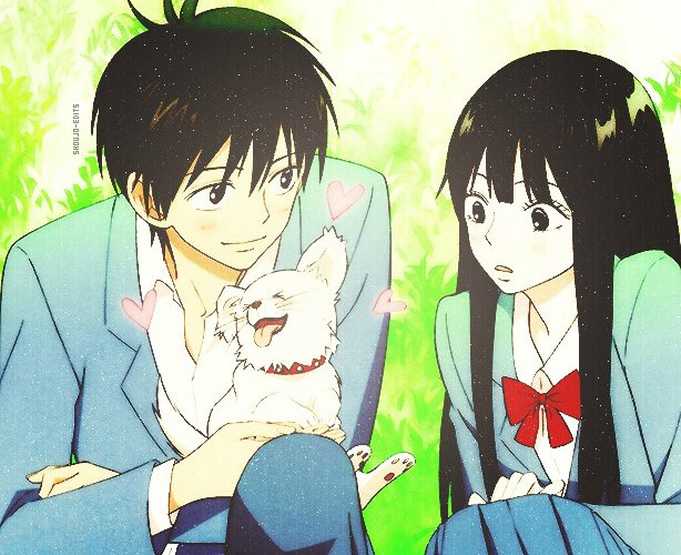 haru, haru, haru!