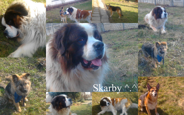 Skarby ^.^