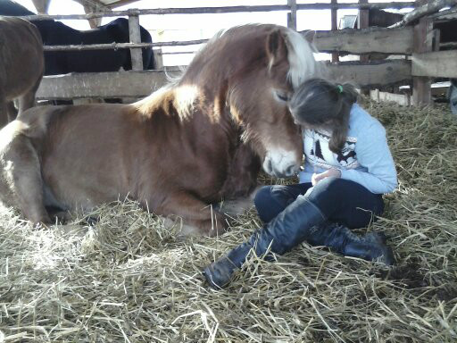 Horses :)