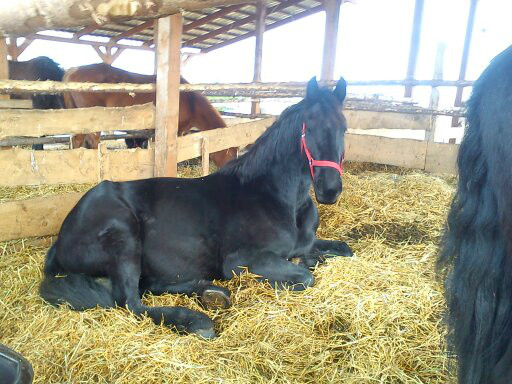 Siemka ,  Olu ! ;)