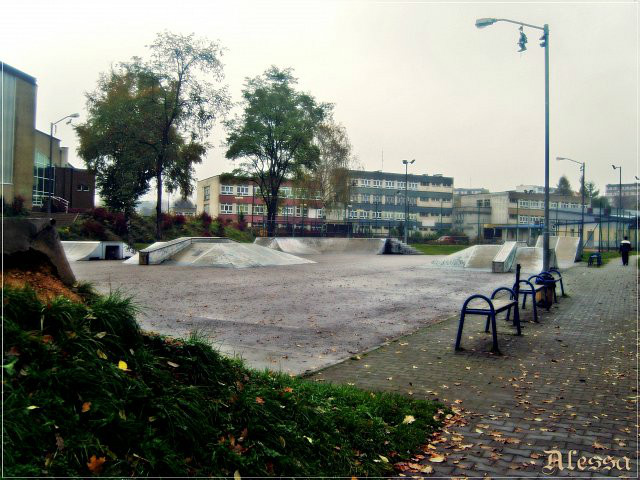 Przygota skate park vol1 .:3