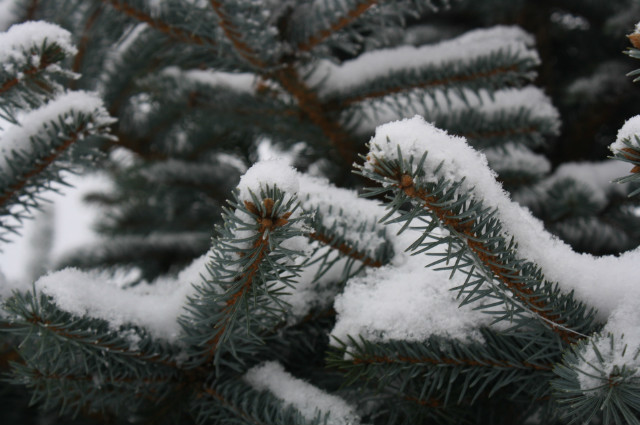 winter.