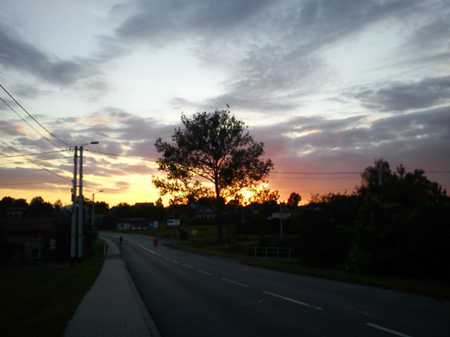 61.