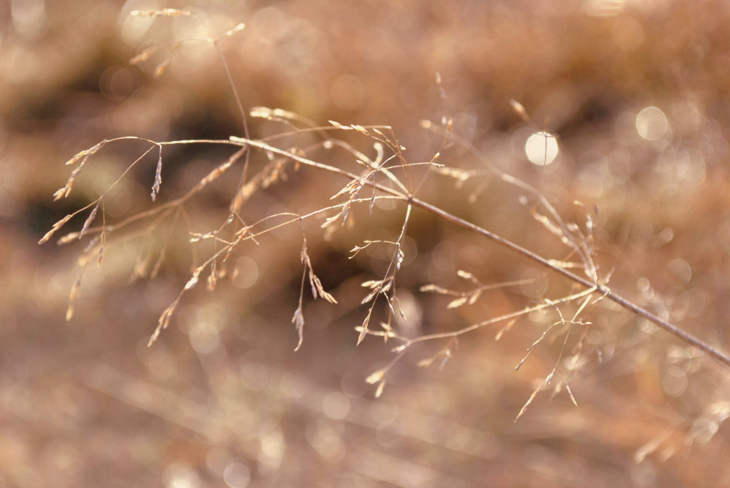 spring's almost here.