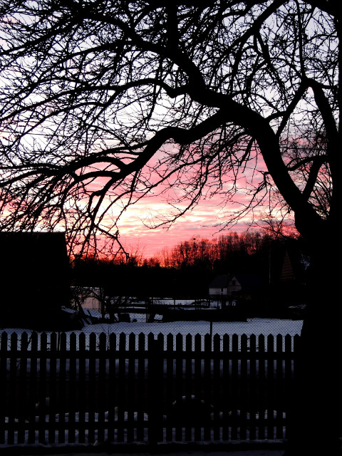 hello march.