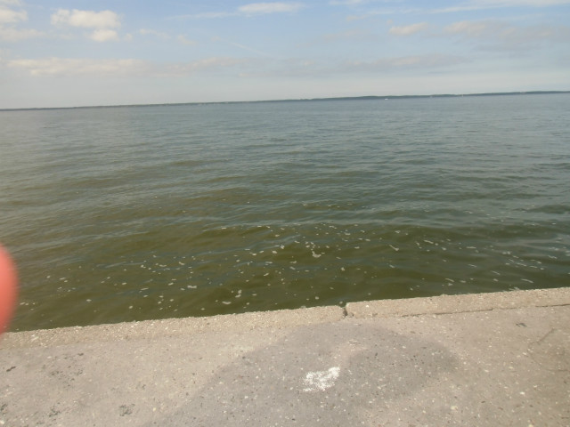 zalew