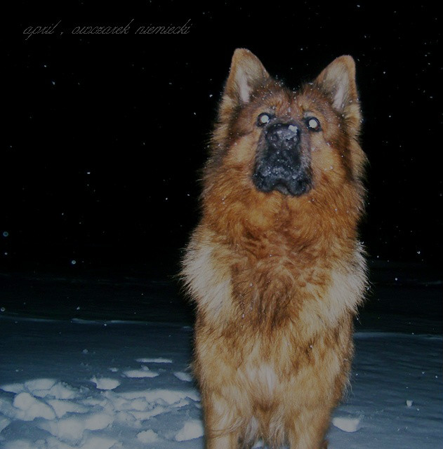 april , wyprawa nocna . ;D