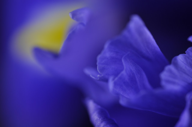 blue...