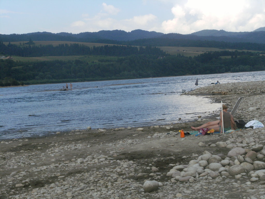 2011 