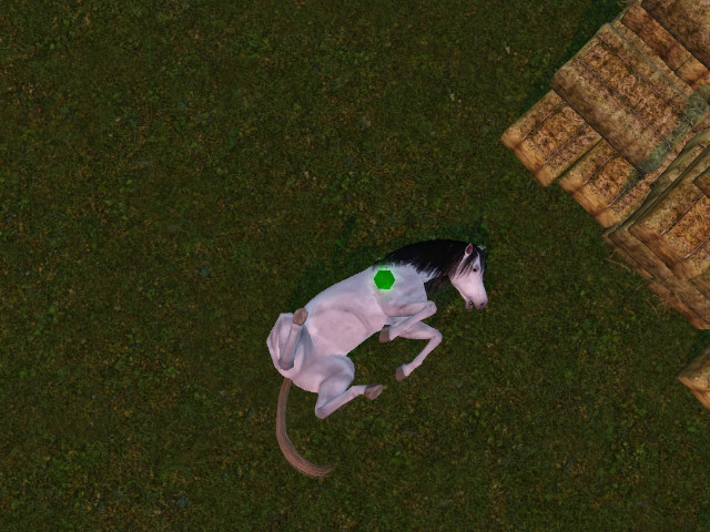 Simsy