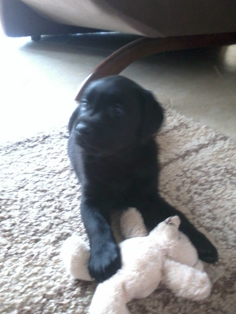 Nowy Pupilek ;)