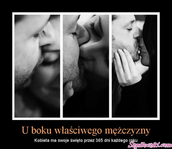 NO WANIE KOCIE ! 
