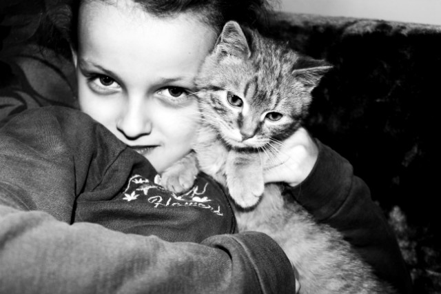Wika 
