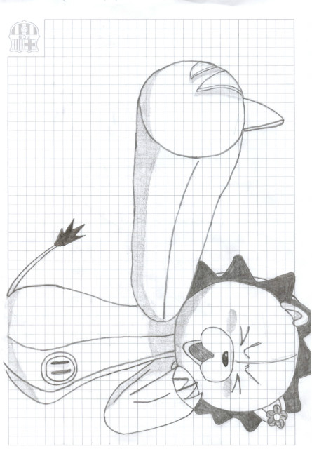 Kon 