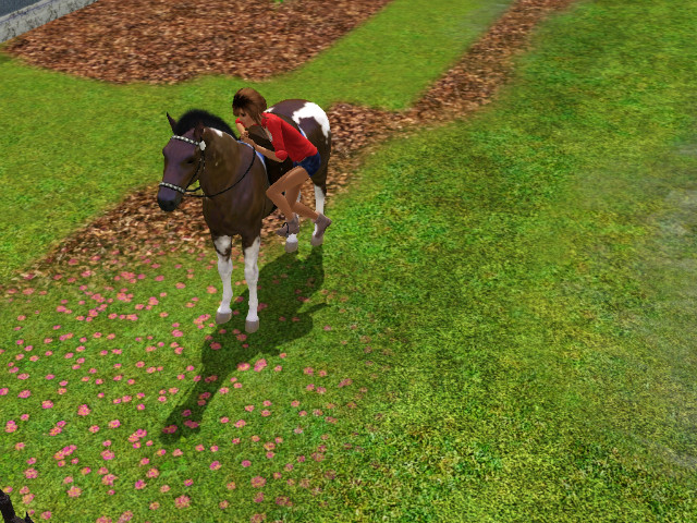 Simsy
