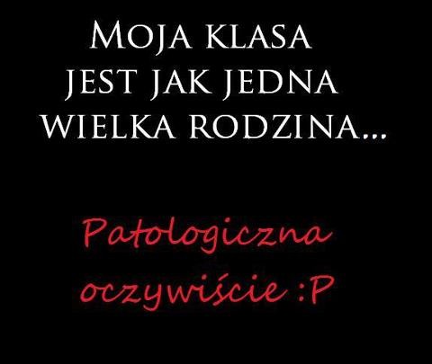 noom
