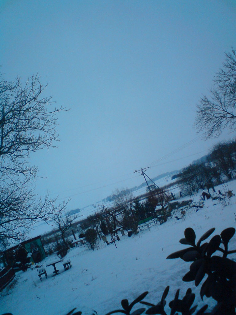 Winter 