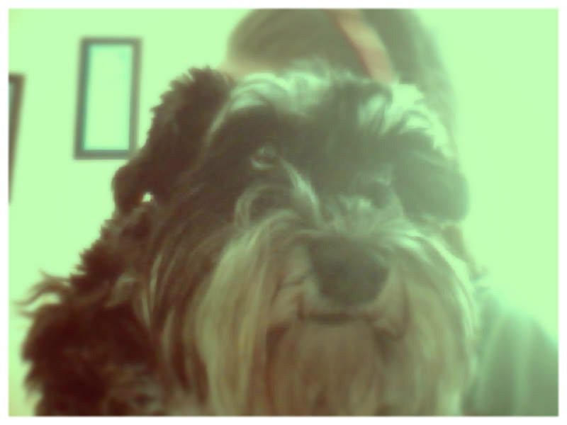 WSZYSTKIEGO NAJLEPSZEGO !!!! :*