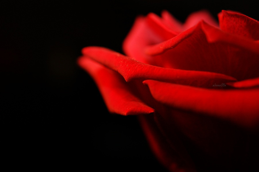 518.