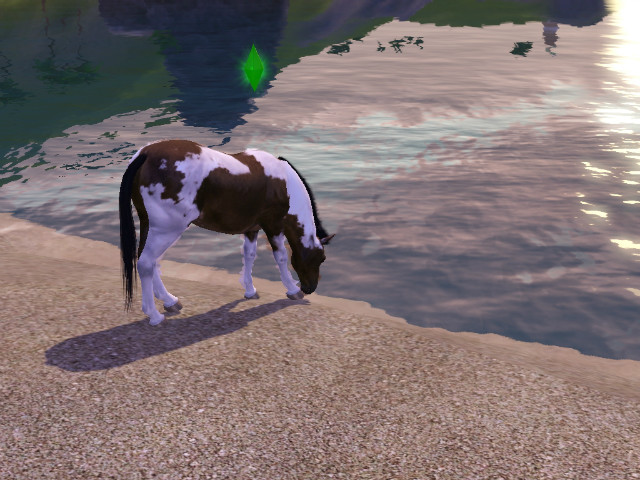 Simsy