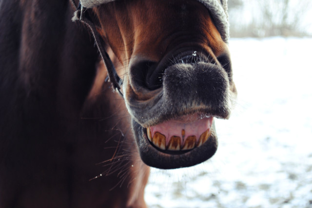 ZBKI ;D