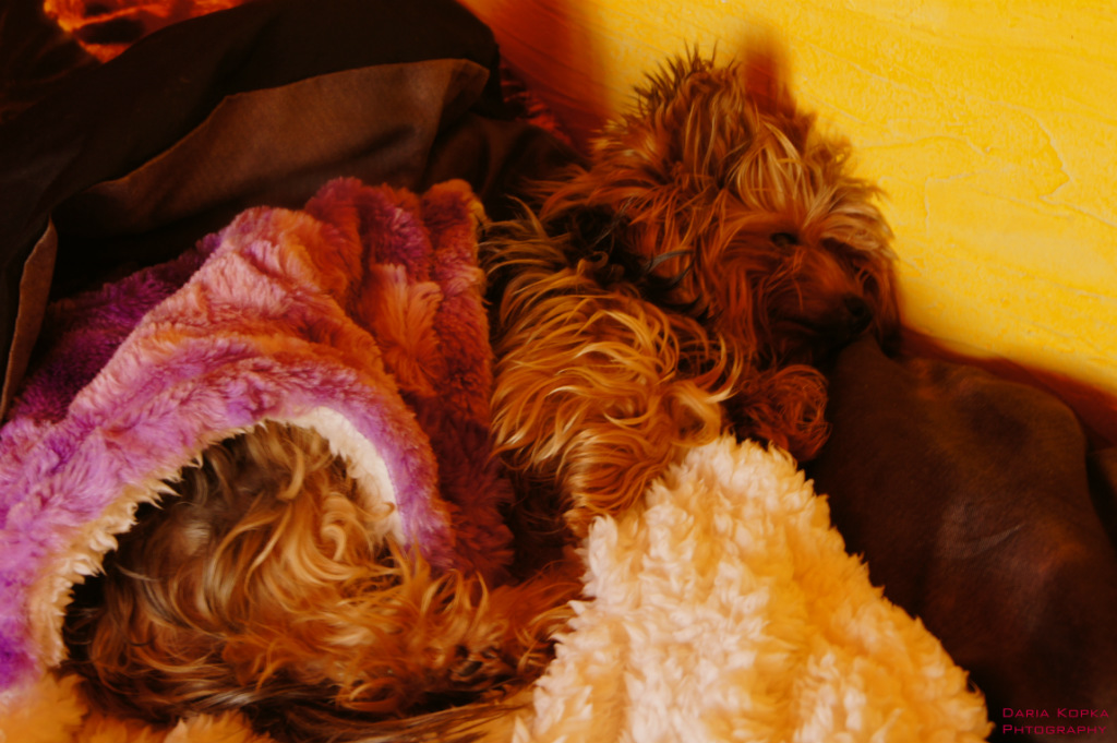 ^^Figa^^