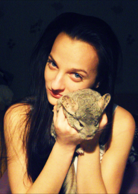 Czinczila 