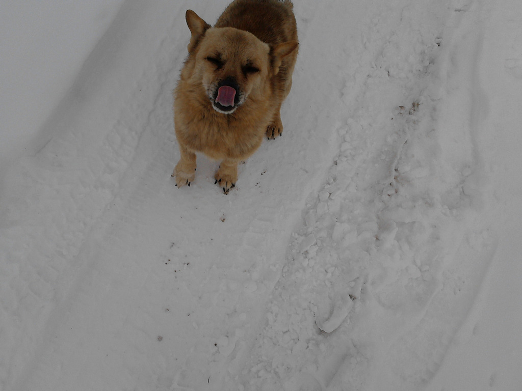Lampo < 3