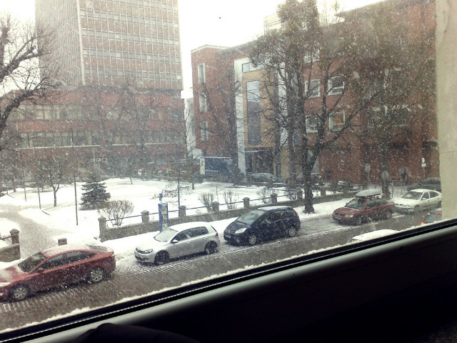 zy dzie dla naukowca ;/
