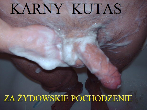 Chuj Alka Mego Kolegi