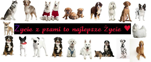 Daj lika
